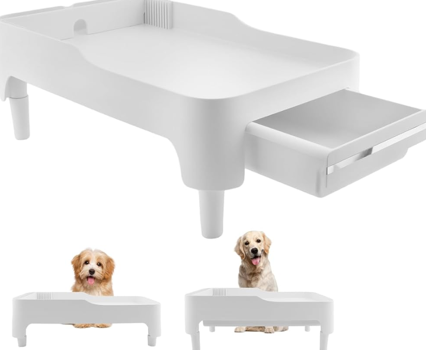 Intelligent Pet Food Dispenser