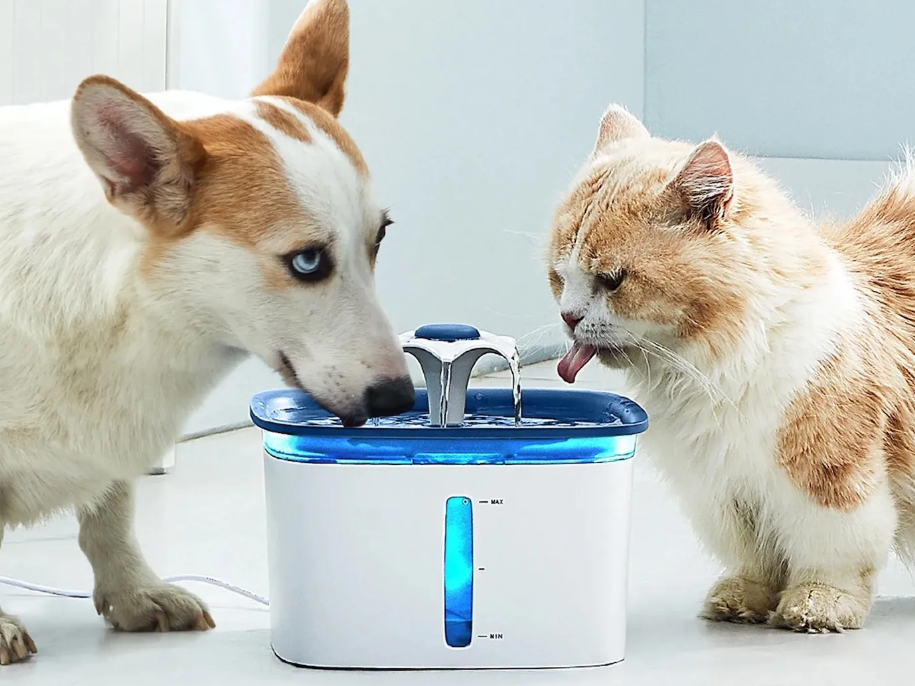 Intelligent Pet Water Dispenser
