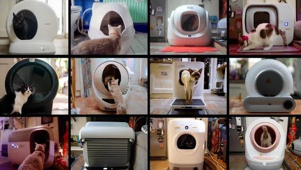 Cat Litter Box Automatic Cleaning